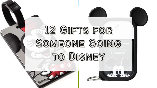 12+ Gifts for Someone Going to Disney